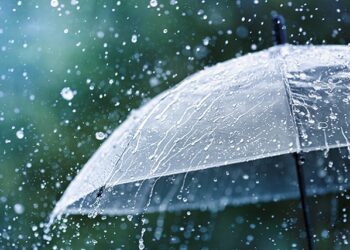 வானிலை : இன்று சில மாகாணங்களில் பிற்பகல் மழை பெய்யும் என எதிர்பார்க்கப்படுகிறது