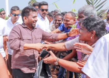 20 மெகாவொட் கொள்ளளவைக் கொண்ட ‘மன்னார் விண்ட்ஸ்கேப்’ (WINDSCAPE MANNAR) காற்றாலை மின்நிலையம் ஜனாதிபதி தலைமையில் திறந்துவைப்பு