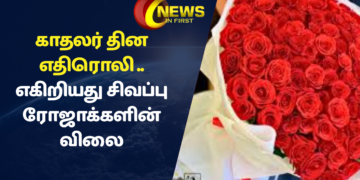 காதலர் தின எதிரொலி – எகிறியது சிவப்பு ரோஜாக்களின் விலை
