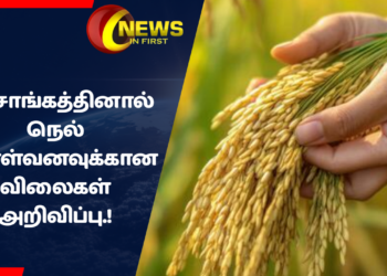 அரசாங்கத்தினால் நெல் கொள்வனவுக்கான விலைகள் அறிவிப்பு.!