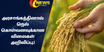 அரசாங்கத்தினால் நெல் கொள்வனவுக்கான விலைகள் அறிவிப்பு.!