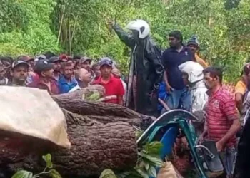 முச்சக்கரவண்டி மீது மரம் முறிந்து வீழ்ந்து விபத்து – மூவர் உயிரிழப்பு!