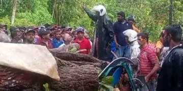 முச்சக்கரவண்டி மீது மரம் முறிந்து வீழ்ந்து விபத்து – மூவர் உயிரிழப்பு!