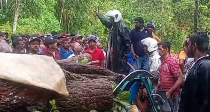 முச்சக்கரவண்டி மீது மரம் முறிந்து வீழ்ந்து விபத்து – மூவர் உயிரிழப்பு!